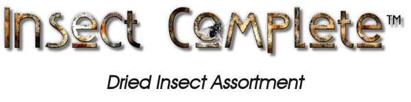 insect-complete