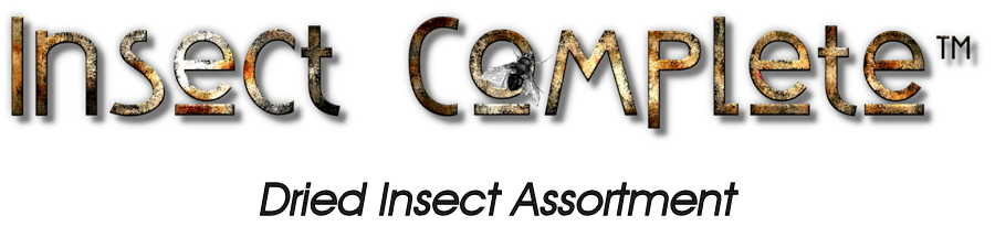 insect-complete